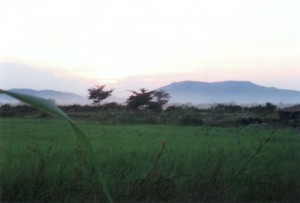 Cambodian Sunset