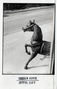 Sudden Horse / Joyful Gift