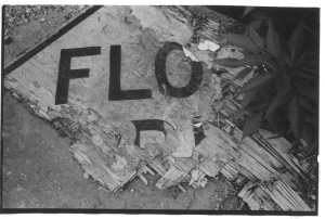 Flo