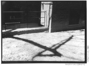 Shadow Calligraphy